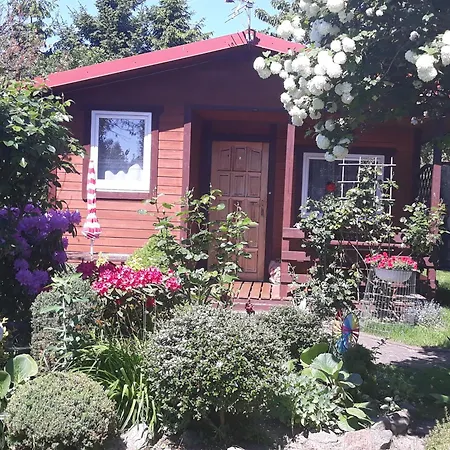 キャンプ場 Mewa